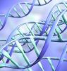Ученые обнаружили у людей три новых гена
