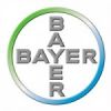    Bayer