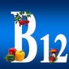 «       B12»