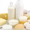 «Из молока будут делать лекарственные продукты»