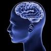 «Ученые узнали, как улучшить рабочую память»