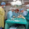 «Трансплантация органов животных людям»