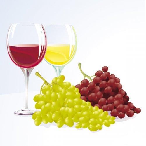 Потребление одного или двух бокалов вина положительно влияет на работу сердца