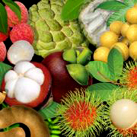 Овощи и фрукты сохраняют кальций в организме