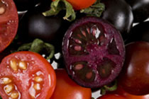 Фиолетовые помидоры продлевают продолжительность жизни мышей склонных к раку