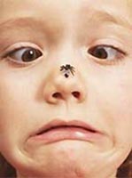 Аллергические реакции на укусы насекомых 